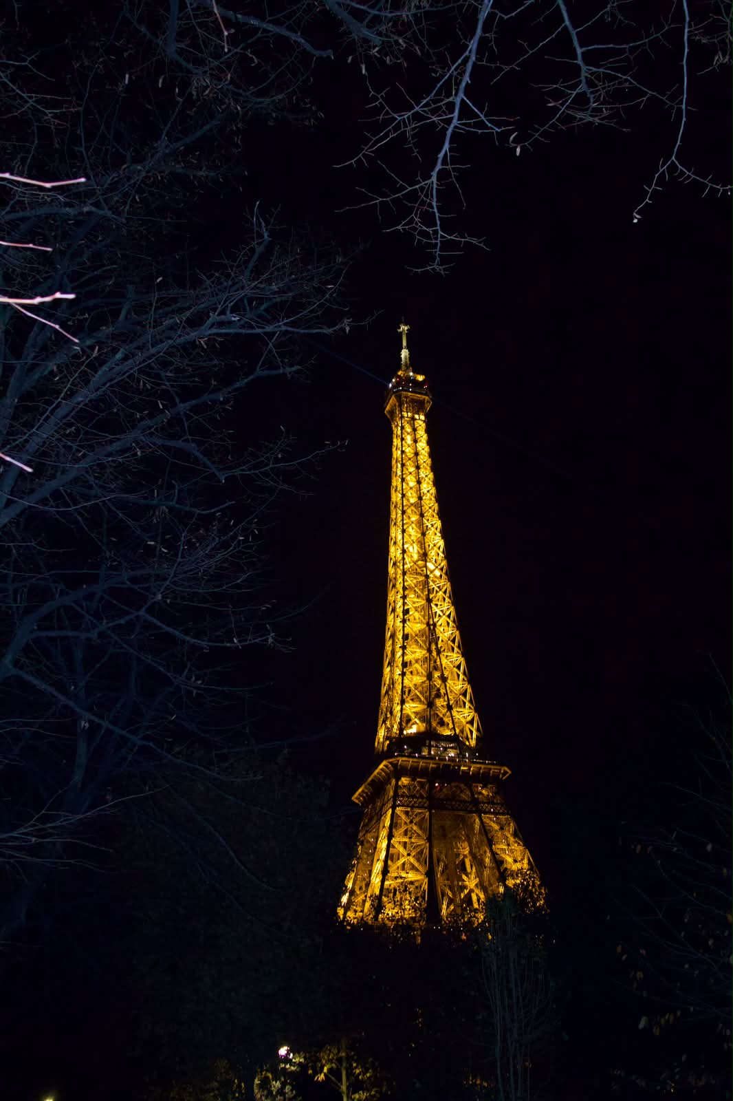Eiffel Tower at night framed by bare branches