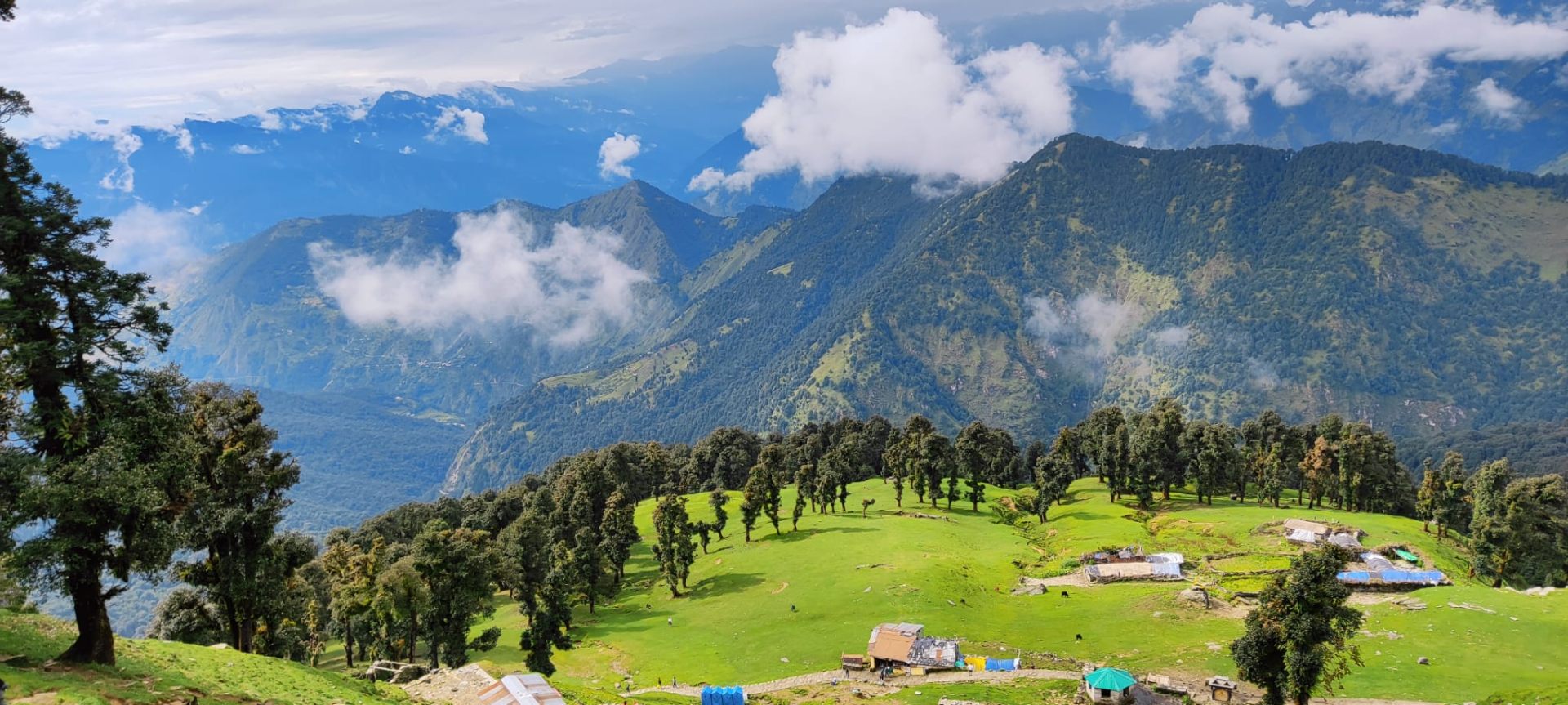 Himalayan meadow over a sea of clouds